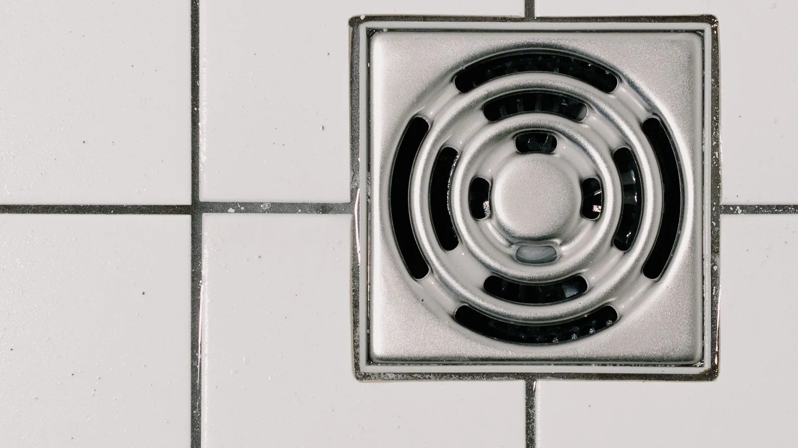 Siphon de sol en inox au milieu d'un carrelage blanc à joints gris, dans une douche
